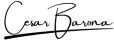 Black Elegant Signature Beauty Logo